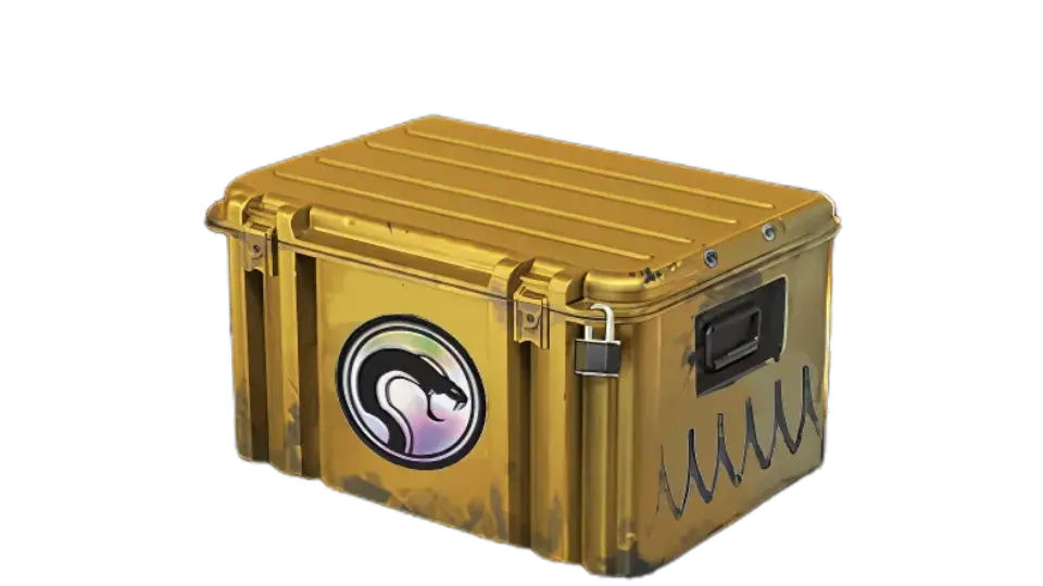 Recoil Case